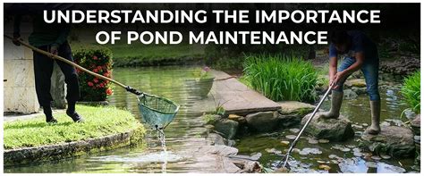 Effective Techniques for Identifying Pond Leaks Using the Milk。